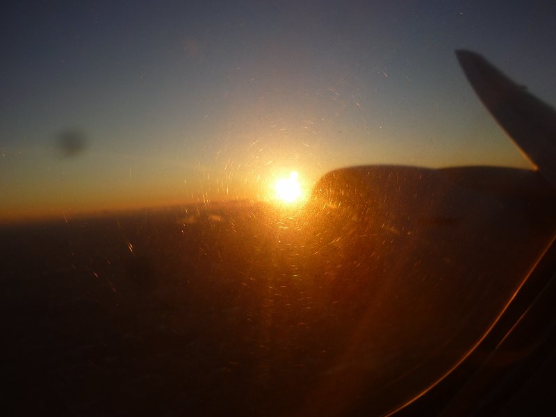 Arizona 2011
